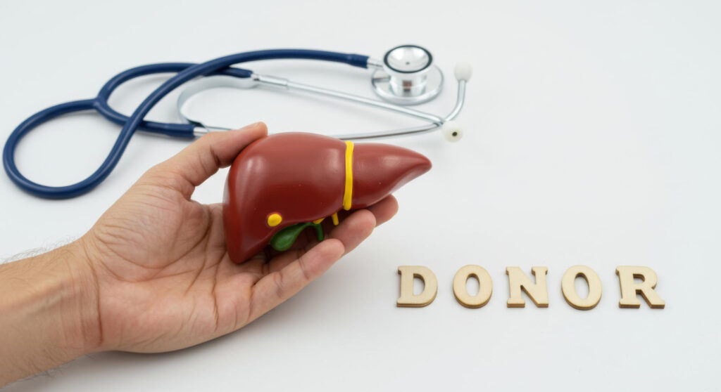 Living vs. Deceased Donor Liver Transplants